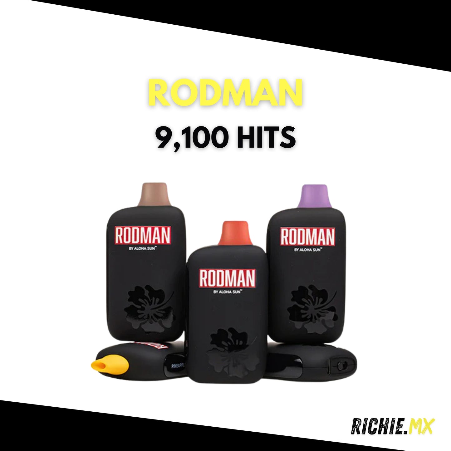 RODMAN 9,100 HITS